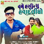 Tame Hasi Ne Su Havad Lidho