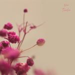Tender