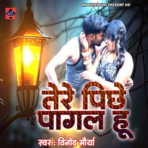 Tere Pichhe Pagal Hu