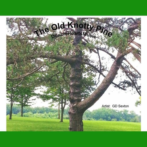 The Old Knotty Pine