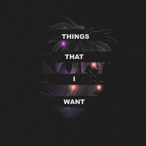 Things that i want_poster_image