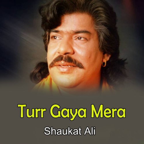 Turr Gaya Mera_poster_image