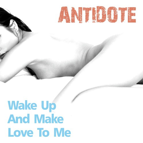 Wake Up And Make Love To Me (extended summer mix)