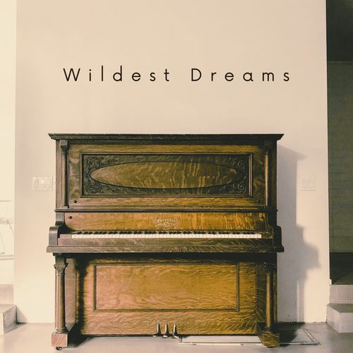 Wildest Dreams_poster_image