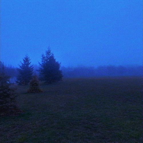 the last goodbye (Speed up)