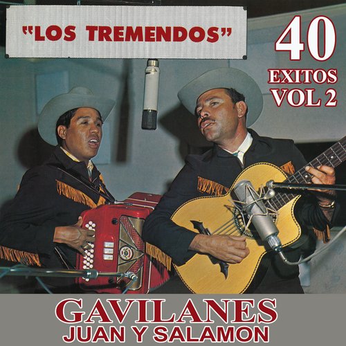 40 Exitos, Vol. 2