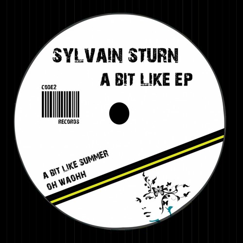 Sylvain Sturn