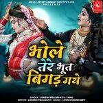 BHOLE TERE BHOOT BIGAD GAYE