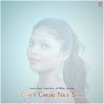 Chhot Chhori Nila Sari
