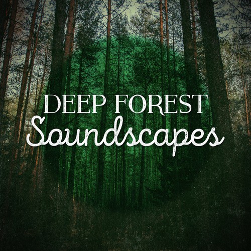 Deep Forest Soundscapes_poster_image