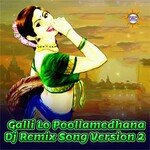 Galli Lo Poollamedhana (DJ Remix Song Version 2)