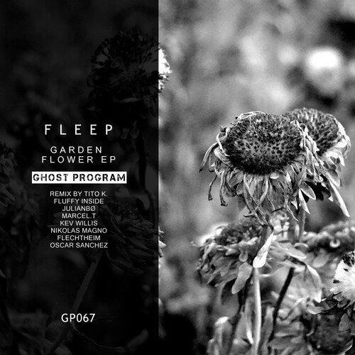 Leaves Dropping (JulianBØ Remix) cover art