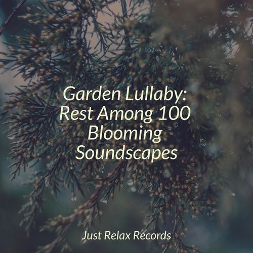 Garden Lullaby: Rest Among 100 Blooming Soundscapes