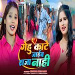 Gehu Kate Jaib Raja Nahi