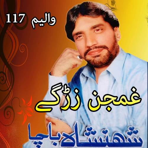 Ghamjan Zargae, Vol. 117