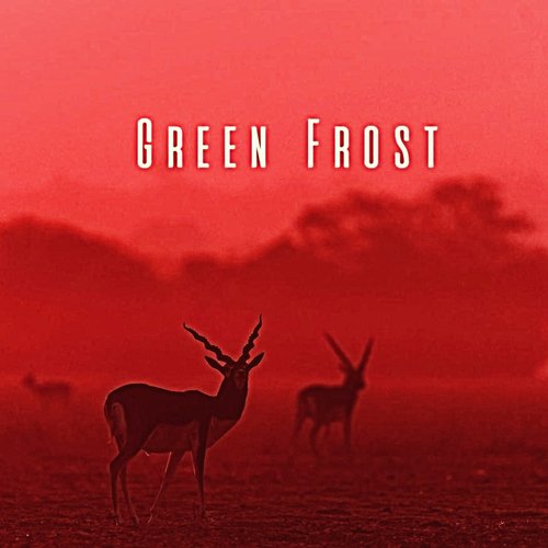 Green Frost_poster_image