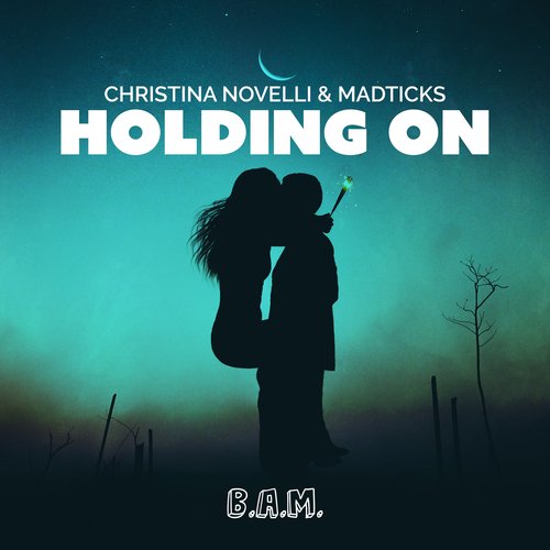 Holding On_poster_image