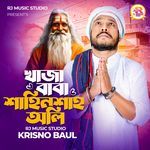 Khwaja Baba Shahin Shah Ali