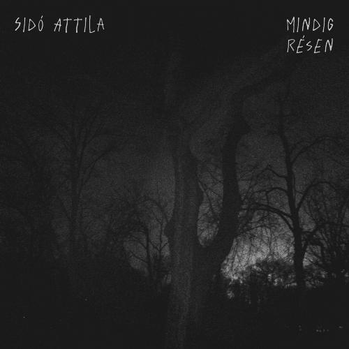 Andrew cover art