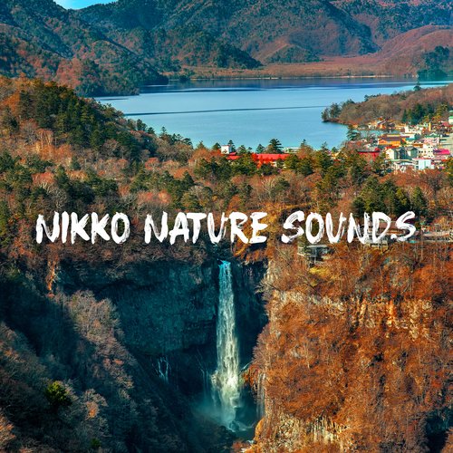 Nikko Nature Sounds: Most Calming Soundscapes from Japanese Nikko National Park