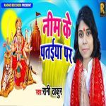 Nim Ke Pataiya Par