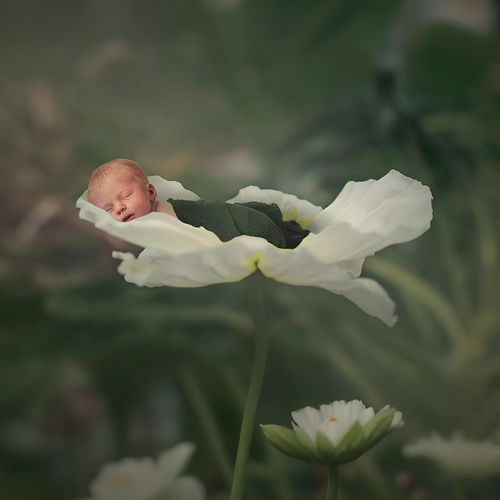 嘘嘘声白噪音+羊水声安抚催眠 cover art