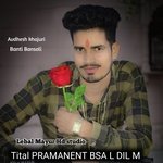 PRAMANENT BSA L DIL M (Rajsthani)