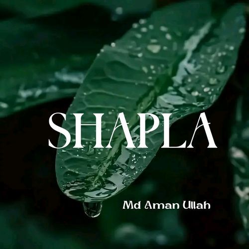 Shapla