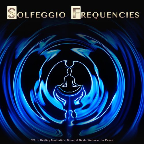 Solfeggio Frequencies: 528Hz Healing Meditation, Binaural Beats Wellness for Peace_poster_image