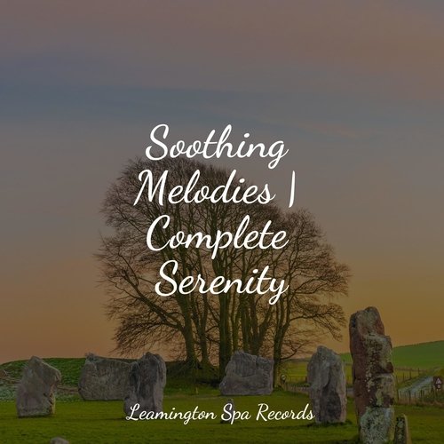 Meditating Music cover art