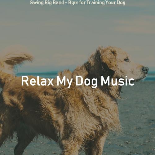 Swing Big Band - Bgm for Training Your Dog