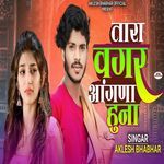 Tara Vagar Aagna Huna