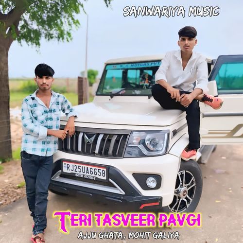 Teri tasveer pavgi