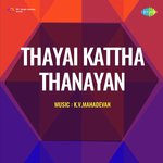 Thayai Katha Thanayan