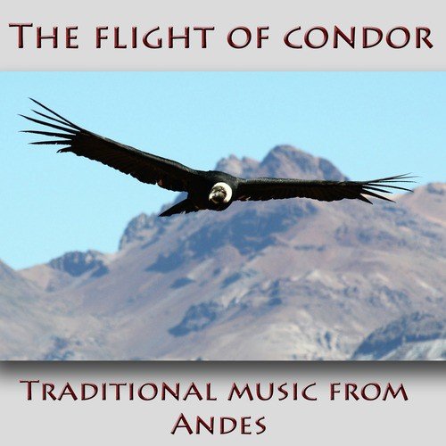 The Flight Of Condor Traditional Music From Andes Songs Download Free Online Songs Jiosaavn