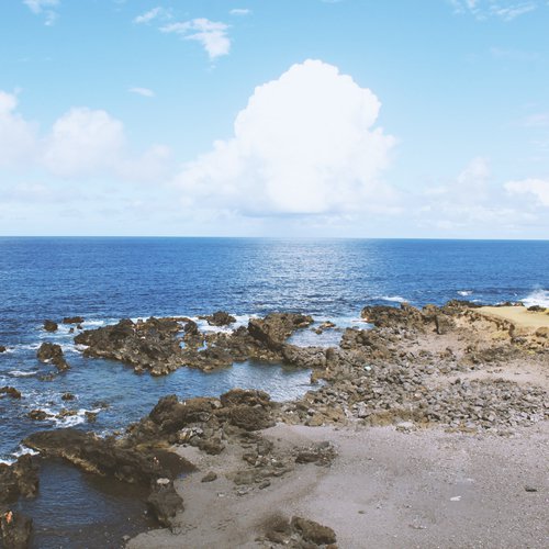 Life Blossoms cover art