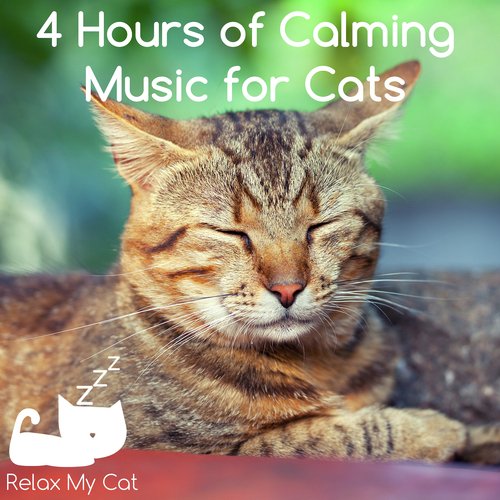4 Hours of Calming Music for Cats