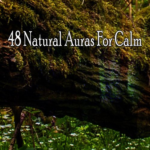 48 Natural Auras For Calm