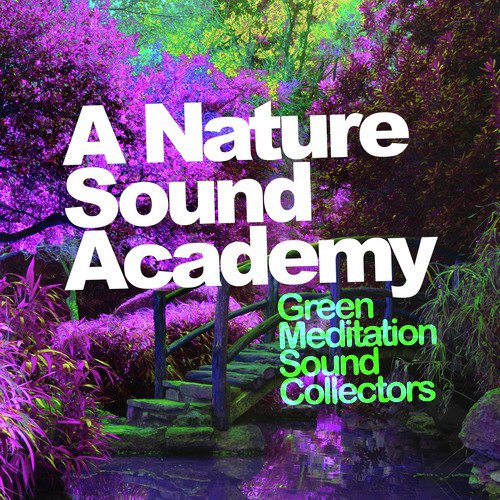 Lakeland Birdlife cover art