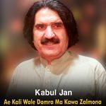 Ae Kali Wale Domra Ma Kawa Zalmona