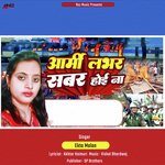 Army Lover Sabar Hoi Na