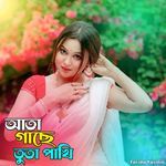 Ata Gache Tota Pakhi
