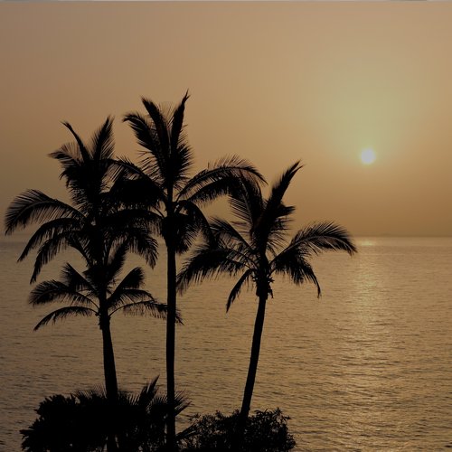 Beach Chill Vibes