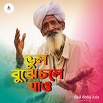 Bhul Bujhe Chole Jau