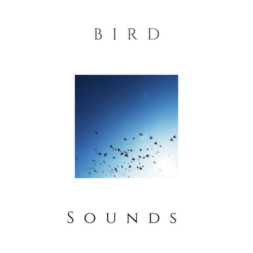 Nature Recordings cover art