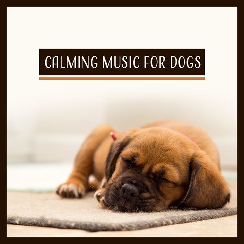 Calming Music for Dogs (Relaxing Sounds to Reduce Anxiety, Stress or Fear, Peaceful Pet Music Therapy)