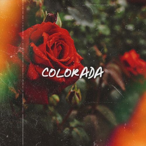 Colorada