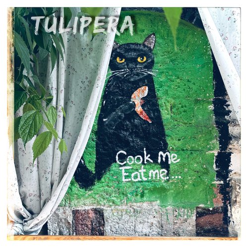 Cook me Eat me cover art