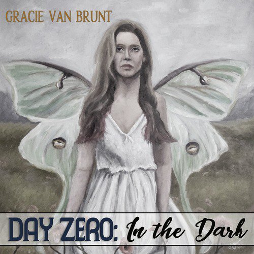 Day Zero: In the Dark_poster_image