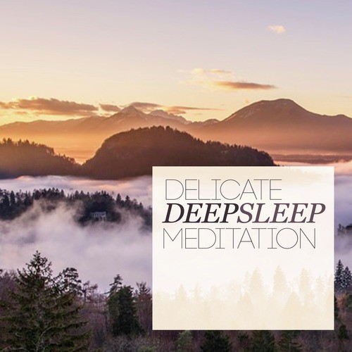 Delicate Deep Sleep Meditation